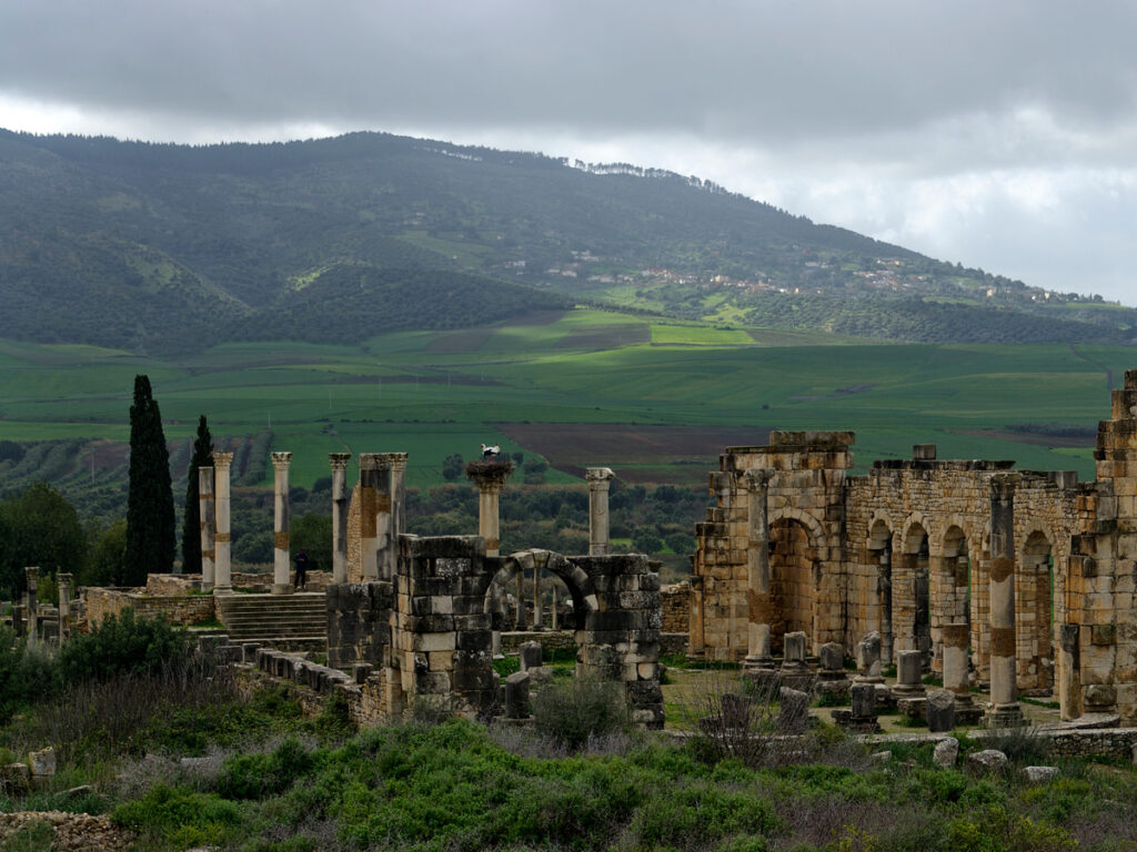 Meknes and Volubilis