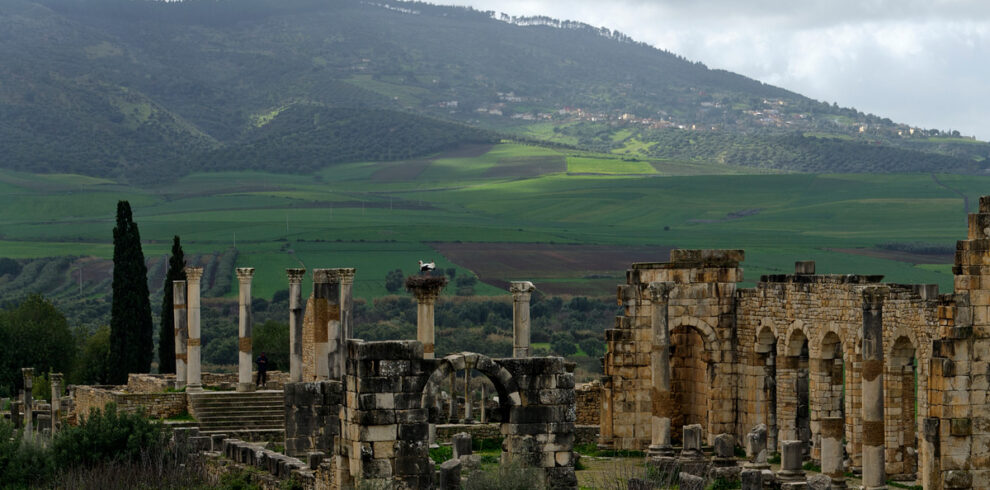 Meknes and Volubilis