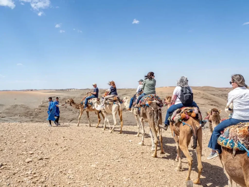 Camel riding in Agafay